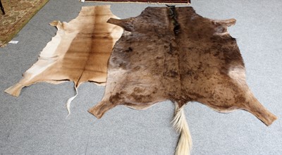 Lot 1139 - Hides/Skins: A Group of African Game Trophy...