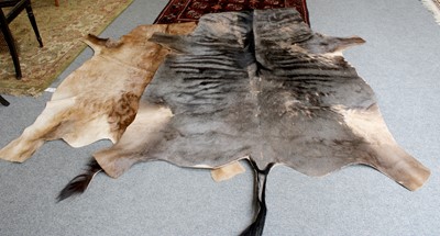 Lot 1139 - Hides/Skins: A Group of African Game Trophy...