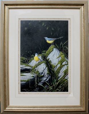 Lot 1135 - Geoff Rollinson (b.1946) Pair of blue tits...