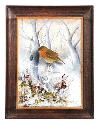 Lot 125 - Taxidermy: Wall Cased European Robin...