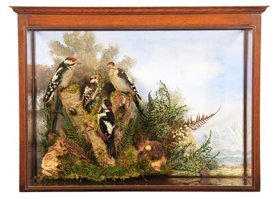 Lot 238 - Taxidermy: A Wall Cased Diorama of Great and...