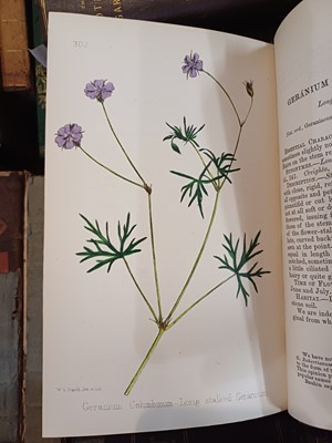 Lot 87 - Botany. A collection of botany books,...