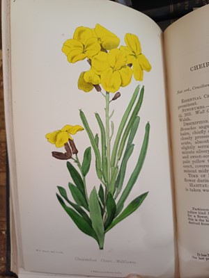 Lot 87 - Botany. A collection of botany books,...