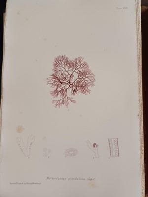 Lot 87 - Botany. A collection of botany books,...
