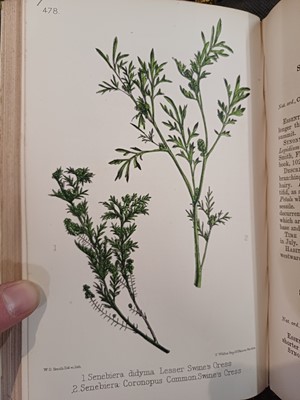 Lot 87 - Botany. A collection of botany books,...