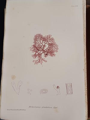 Lot 87 - Botany. A collection of botany books,...