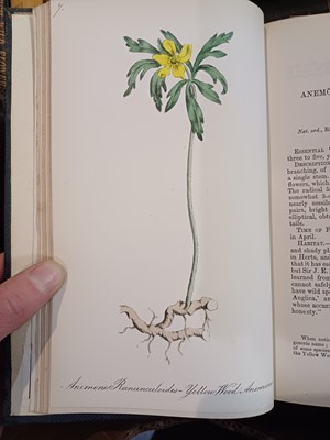 Lot 87 - Botany. A collection of botany books,...
