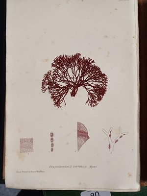 Lot 87 - Botany. A collection of botany books,...