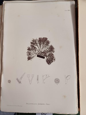 Lot 87 - Botany. A collection of botany books,...