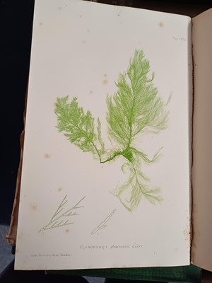 Lot 87 - Botany. A collection of botany books,...