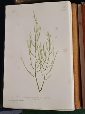 Lot 87 - Botany. A collection of botany books,...