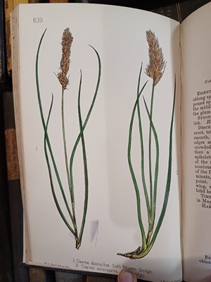 Lot 87 - Botany. A collection of botany books,...