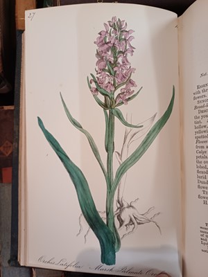 Lot 87 - Botany. A collection of botany books,...