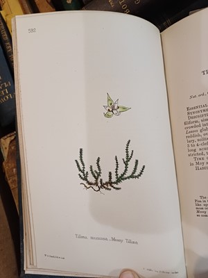 Lot 87 - Botany. A collection of botany books,...