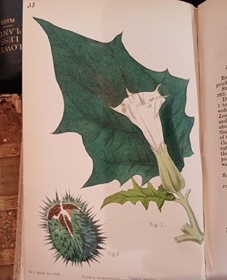 Lot 87 - Botany. A collection of botany books,...