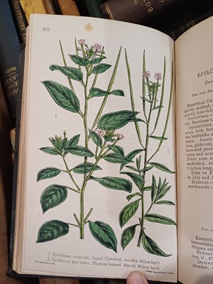 Lot 87 - Botany. A collection of botany books,...
