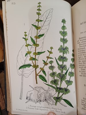 Lot 87 - Botany. A collection of botany books,...