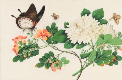 Lot 111 - Chinese School Butterflies and white...