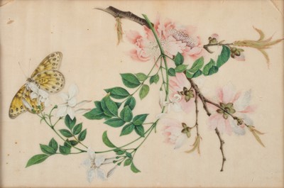 Lot 106 - Chinese School Butterflies, Jasmine and...