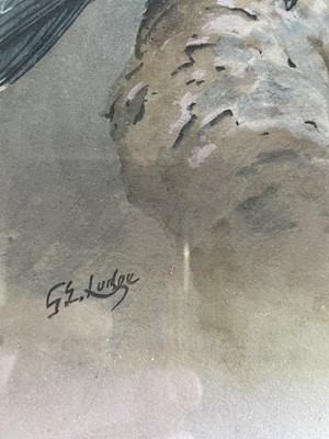 Lot 1015 - George Edward Lodge (1860-1954) European Hobby...