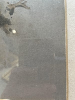 Lot 1015 - George Edward Lodge (1860-1954) European Hobby...