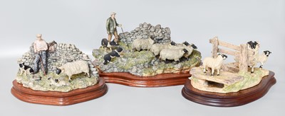 Lot 260 - Border Fine Arts Sheep Models Comprising: 'The...