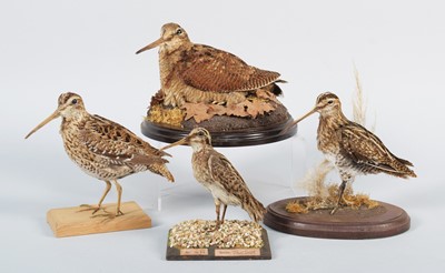 Lot 56 - Taxidermy: A Group of Game Birds, to include -...