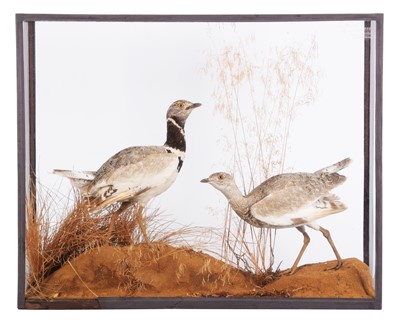 Lot 191 - Taxidermy: A Late Victorian Cased Pair of...