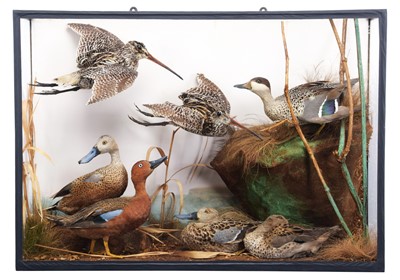 Lot 166 - Taxidermy: A Late Victorian Cased Diorama of...