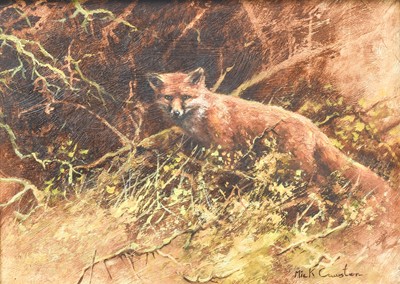 Lot 467 - Mick Cawston (1959-2006) Fox in undergrowth...