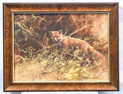 Lot 467 - Mick Cawston (1959-2006) Fox in undergrowth...