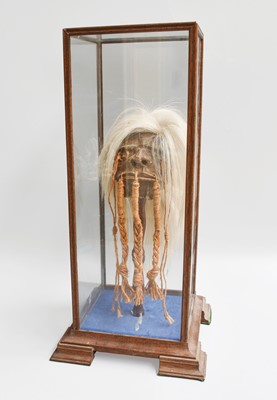 Lot 27 - A South American Copy of a Shrunken Head, with...