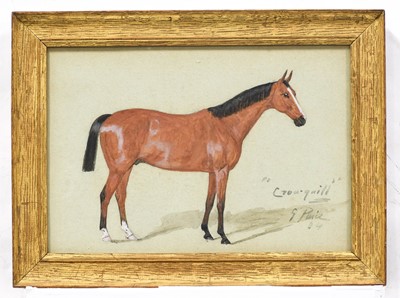 Lot 417 - George Paice (1854-1925) "CROW. Quill" Signed...