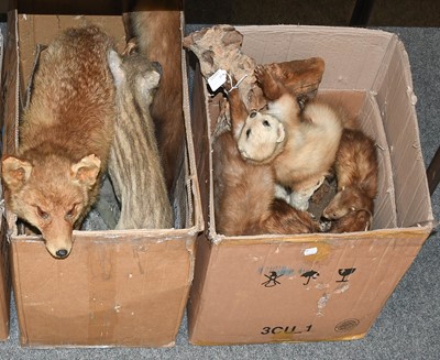 Lot 1116 - Taxidermy: A Group of Countryside Animals,...