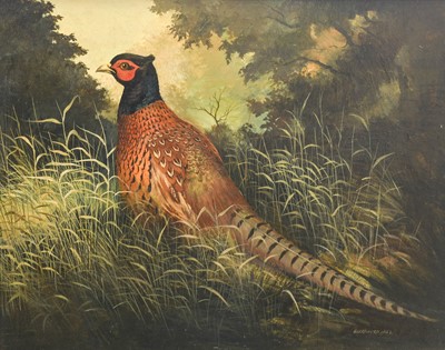 Lot 540 - Berrisford Hill (20th century) "Pheasant at...