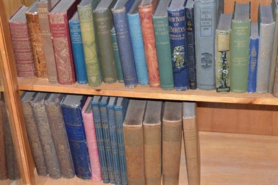 Lot 206 - A quantity of books, including ornithology and art, predominantly 19th century (2 shelves)