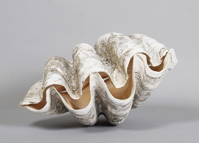 Lot 85 - Conchology: Giant Clam Shell (Tridacna gigas),...