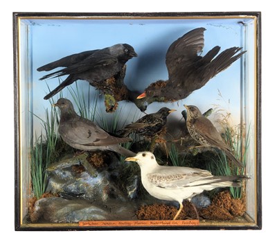 Lot 89 - Taxidermy: A Late Victorian Diorama of British...