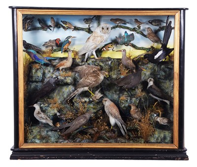 Lot 252 - Taxidermy: A Late Victorian Large Cased...