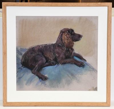 Lot 1085 - Neil Forster (1939-2016) Study of a Cocker...