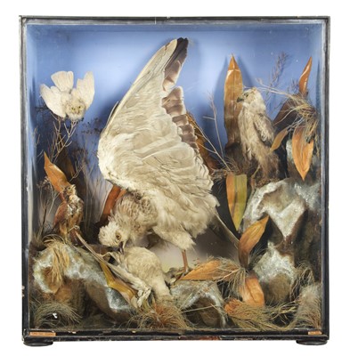 Lot 1175 - Taxidermy: A Large Late Victorian Diorama of...