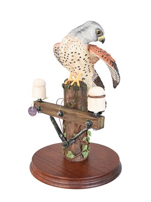 Lot 2182 - Border Fine Arts 'Kestrel', model No. B0869 by...