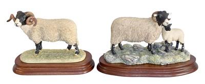 Lot 2153 - Border Fine Arts Sheep Groups, Comprising:...