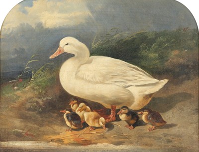 Lot 517 - Follower of J F Herring (1815-1907) Duck and...