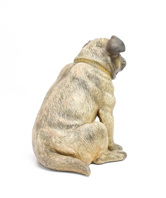 Lot 204 - An Austrian Cold-Painted Terracotta Pug, early...