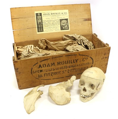 Lot 201 - Adam Rouilly & Co Half Skeleton