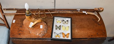 Lot 1162 - Taxidermy: A Cased Display of Butterflies, a...