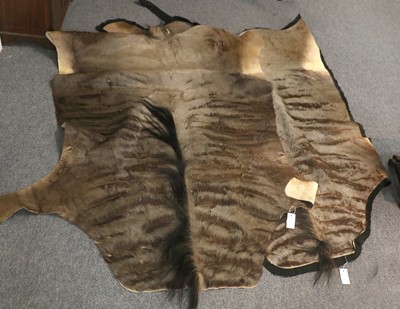 Lot 1185 - Skins/Hides: A Pair of Blue Wildebeest Hide...