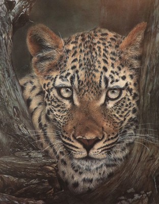 Lot 1139 - By & After Alan M Hunter "The Big Yawn", tiger...
