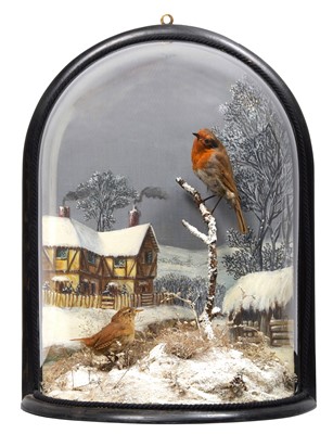 Lot 278 - Taxidermy: A Late Victorian Winter Robin and...